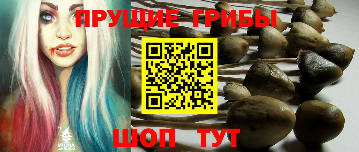 Галлюциногенные грибы GOLDEN TEACHER Сунжа
